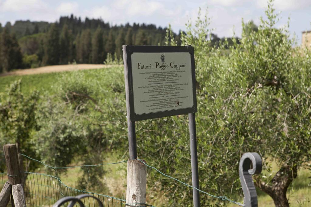 Fattoria Poggio Capponi Villa Montespertoli Kültér fotó