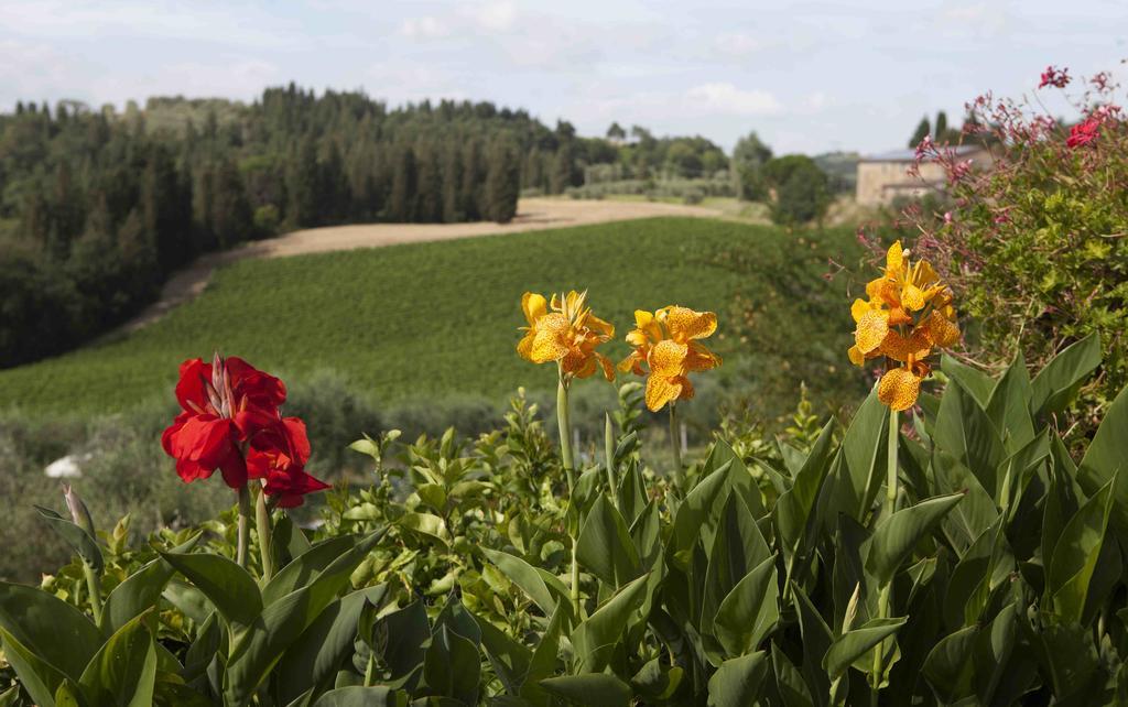 Fattoria Poggio Capponi Villa Montespertoli Kültér fotó