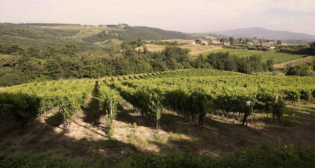 Fattoria Poggio Capponi Villa Montespertoli Kültér fotó